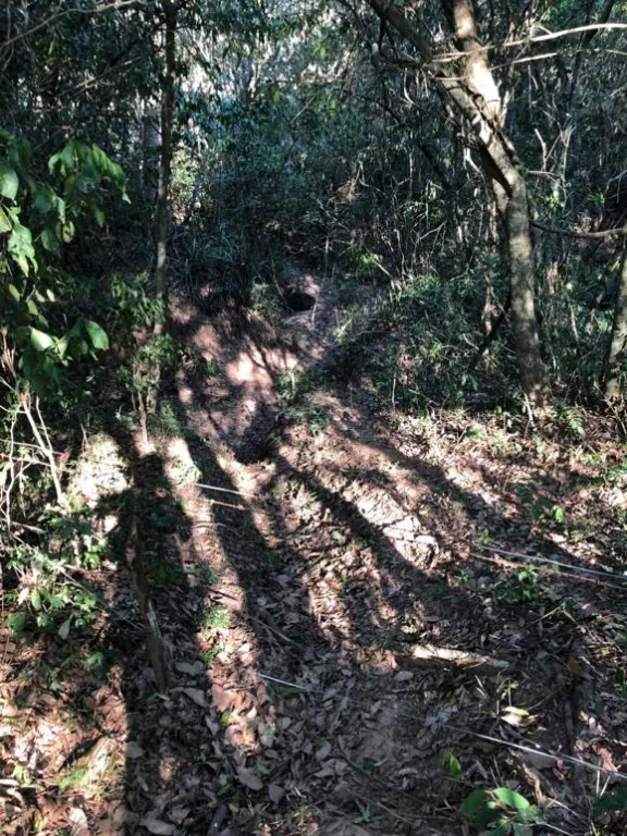 Terreno de 33 hectáreas — foto 2