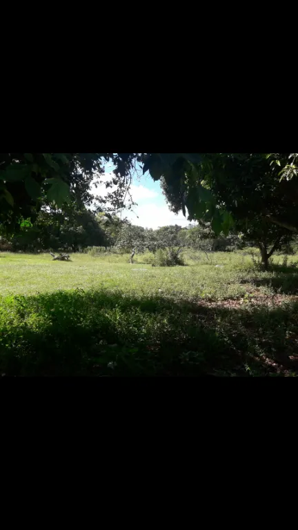 Vendo Terreno en Luque - San Bernardino — foto 2