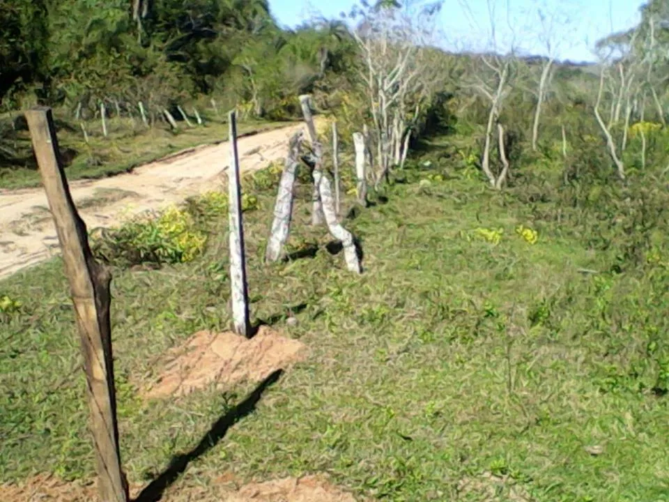 GRANJA EN ALTOS,12 HECTAREAS,HERMOSA CASA,TOTALMENTE EQUIPADA,POZO,BOMBA,ARROYO — foto 3