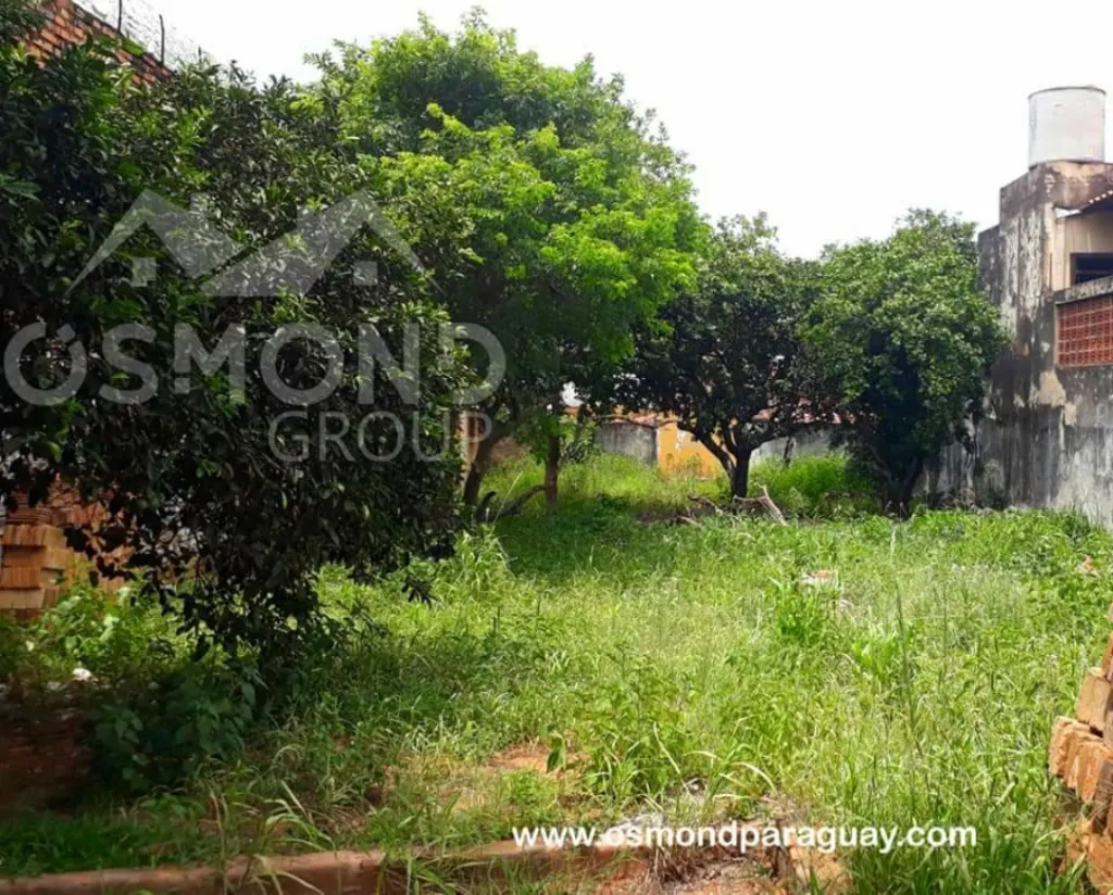 TERRENO EN CIUDAD NUEVA — foto 2