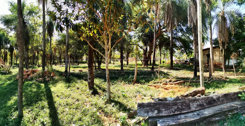 Vendo terreno - Fracción Los Nogales — foto 2
