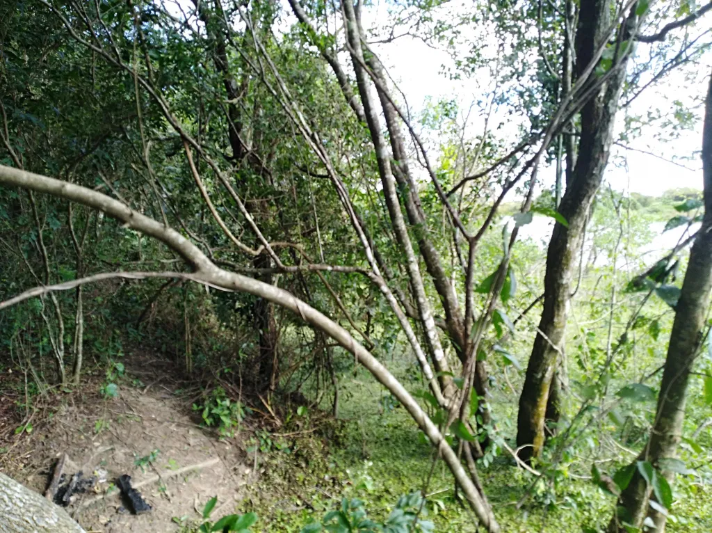 Vendo Propiedad en Villa Oliva — foto 2