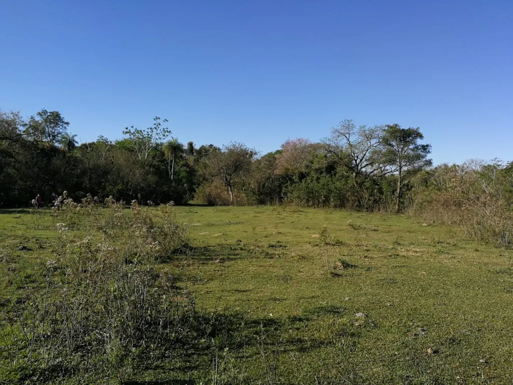 ISLA VILLA AREGUÁ: MARAVILLOSAS 30 HECTÁREAS EN VENTA -130.000.000 GS HA — foto 3