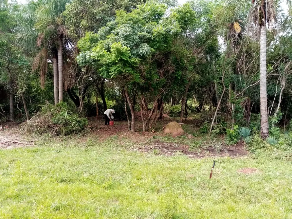 Vendo 2 terrenos en villarrica — foto 2