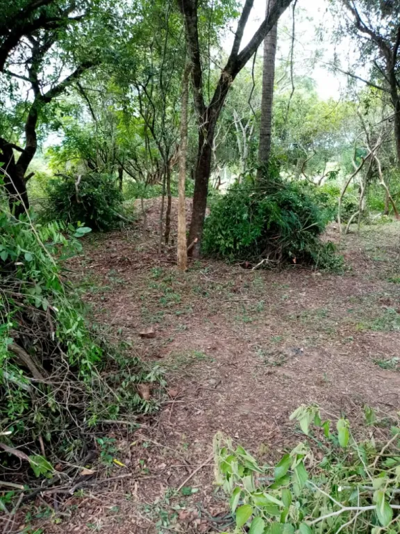 Vendo 2 terrenos en villarrica — foto 3