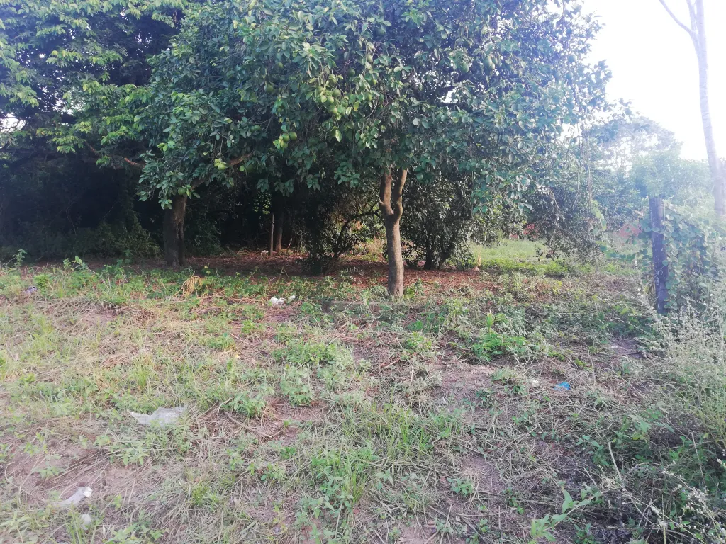Vendo terreno en acceso sur — foto 2
