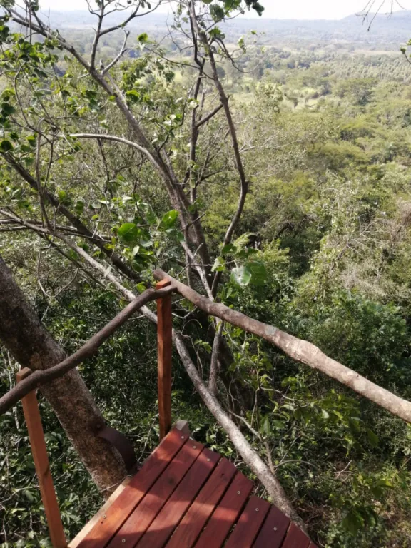 VENDO Hermosa PROPIEDAD de 14.3 Hectáreas. — foto 2