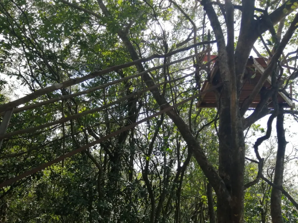 VENDO Hermosa PROPIEDAD de 14.3 Hectáreas. — foto 3