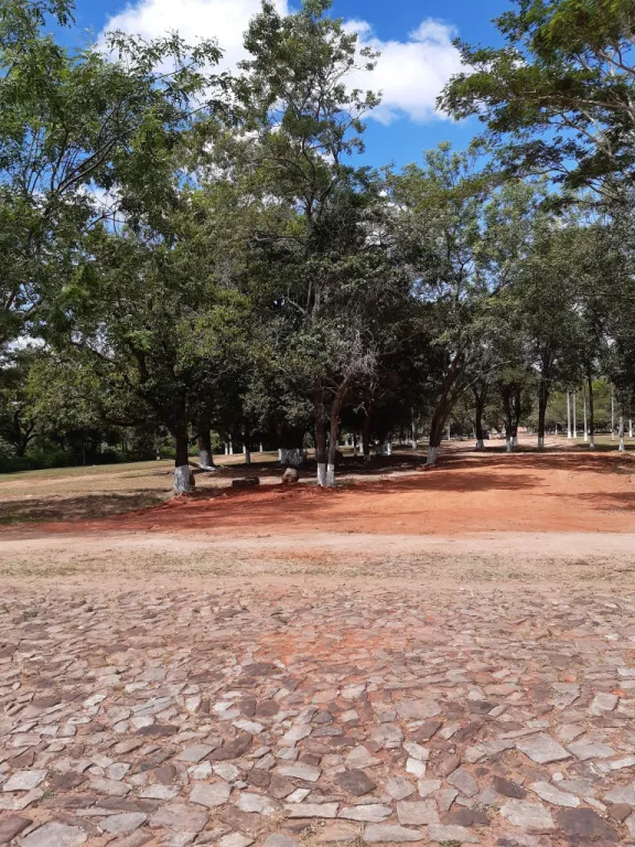 Hermosos lotes a la venta en la ciudad de Emboscada! — foto 3