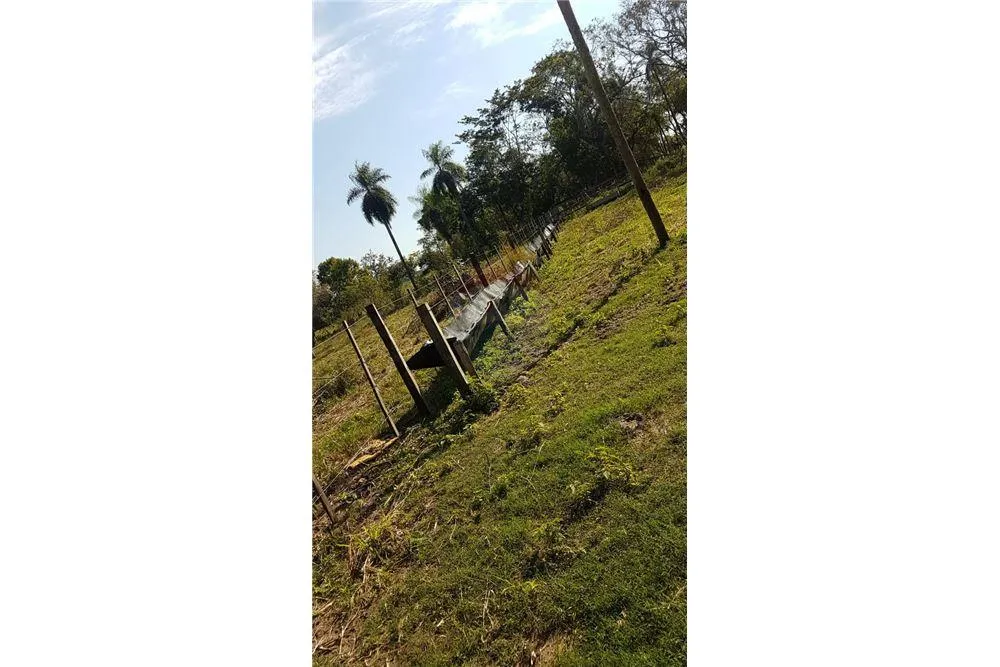 PROPIEDAD RURAL EN VENTA - OPORTUNIDAD PARA INVERSIONISTAS!! — foto 3