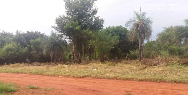 Hermoso Terreno en Ypane — foto 2