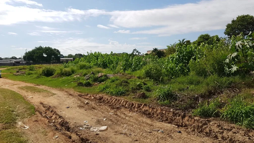 Terreno en venta en Mariano R Alonso — foto 2