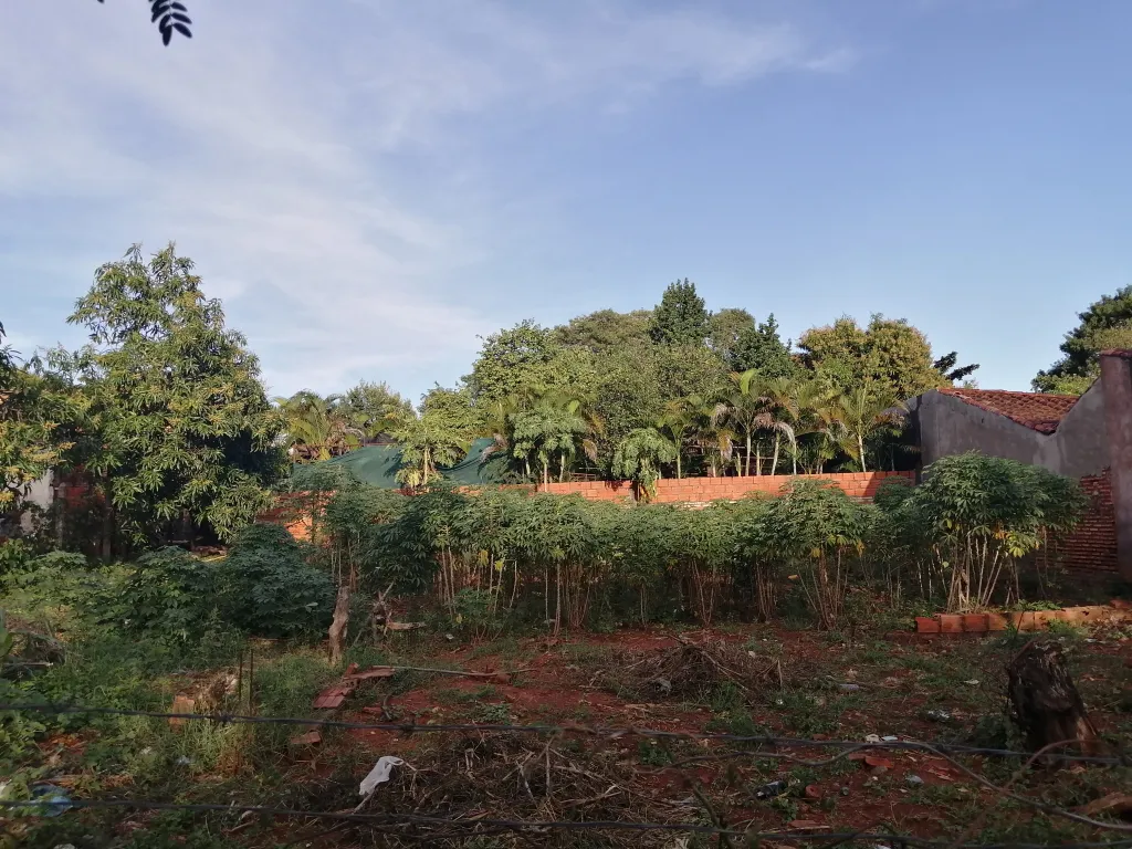 Terreno zona de Ñemby (Mbocayaty) — foto 3