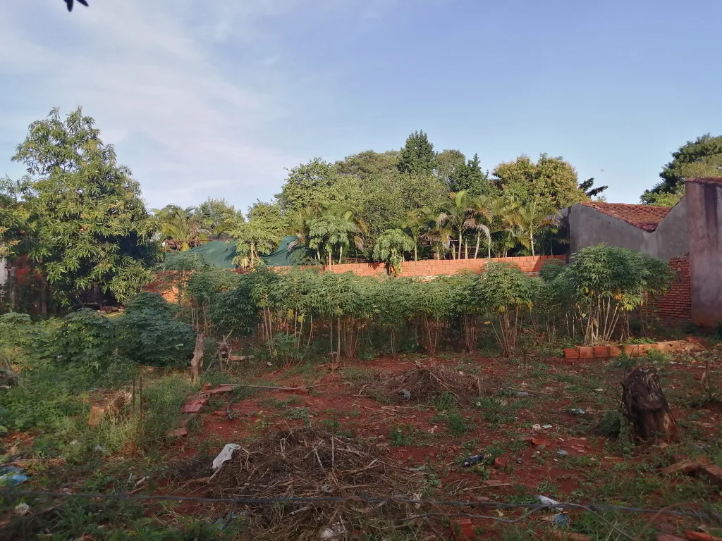 Terreno zona de Ñemby (Mbocayaty) — foto 2