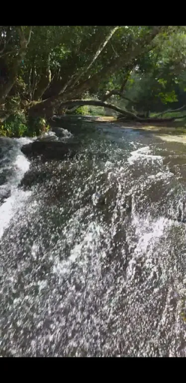VALENZUELA – PIRIBEBUY: 46 HECTÁREAS, BOSQUES, ARROYOS, CASCADAS, UNA BELLEZA. — foto 3