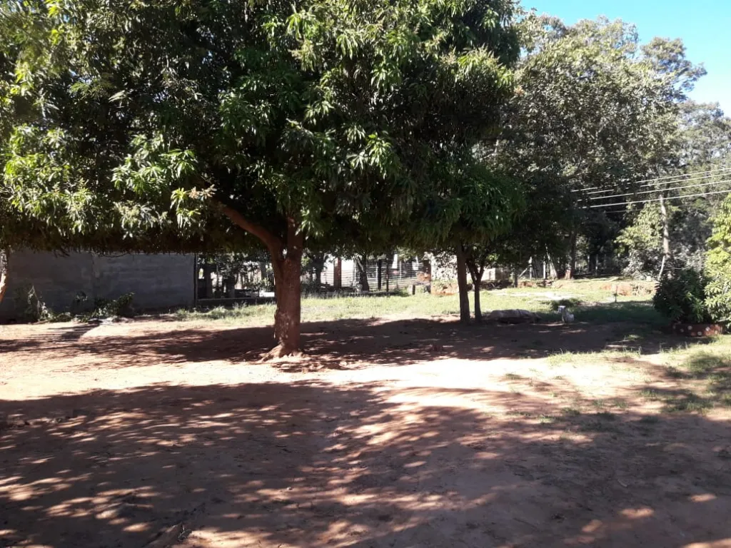 TERRENO EN CORONEL OVIEDO TITULADO — foto 3