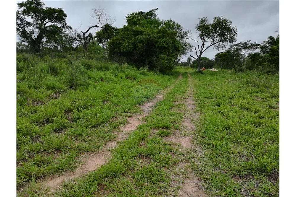 Vendo terreno de 1992 m2 en Surubii — foto 2