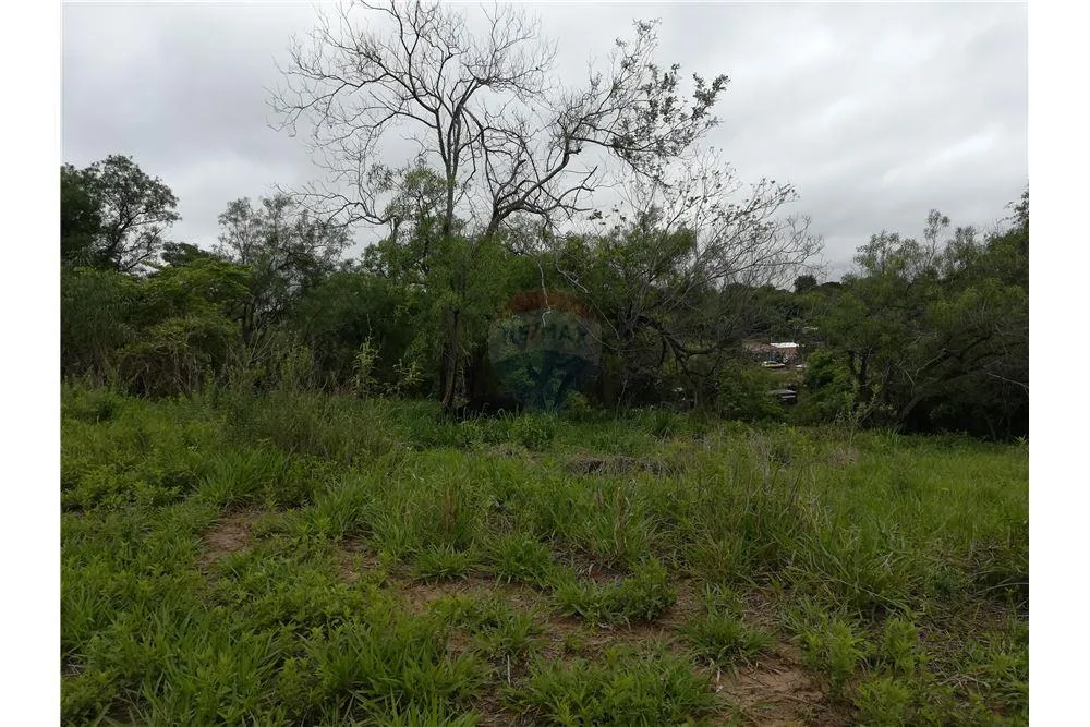 Vendo terreno de 1992 m2 en Surubii — foto 3