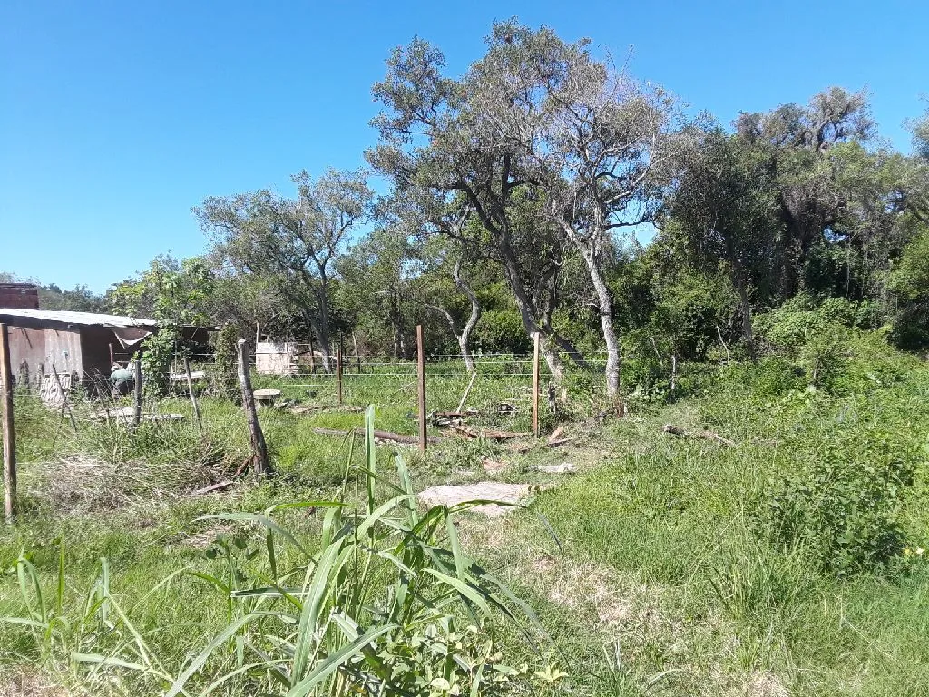Vendo terreno en san lorenzo zona kokuere — foto 2