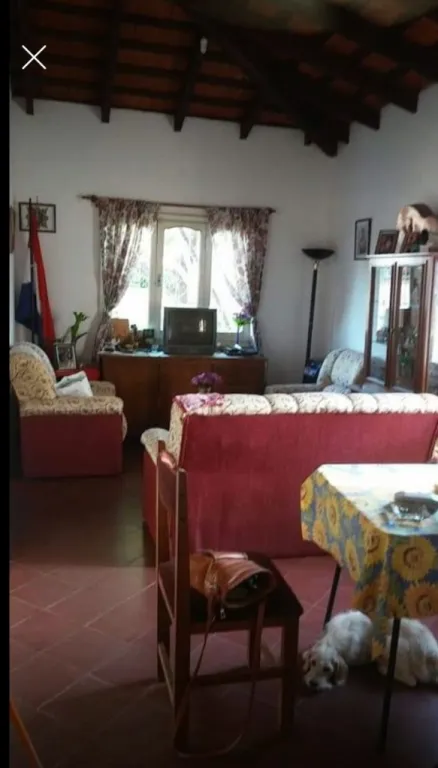 alquilo hermosa casa zona rpca Argentina y paseo del solar zona canal 13 — foto 2