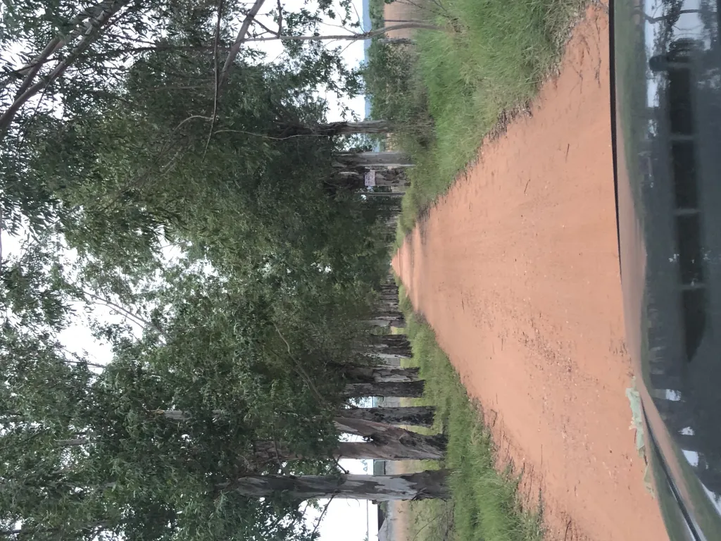 Vendo Terreno en el Cortijo 950 M2 — foto 2