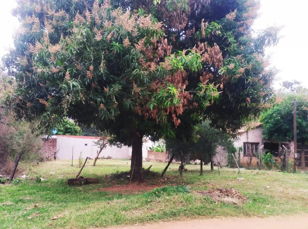 Vendo terreno en excelente ubicación. Barcequillo San lorenzo — foto 2