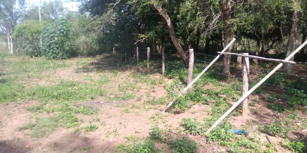 ¡VENDO TERRENO EN CAACUPÉ! — foto 3