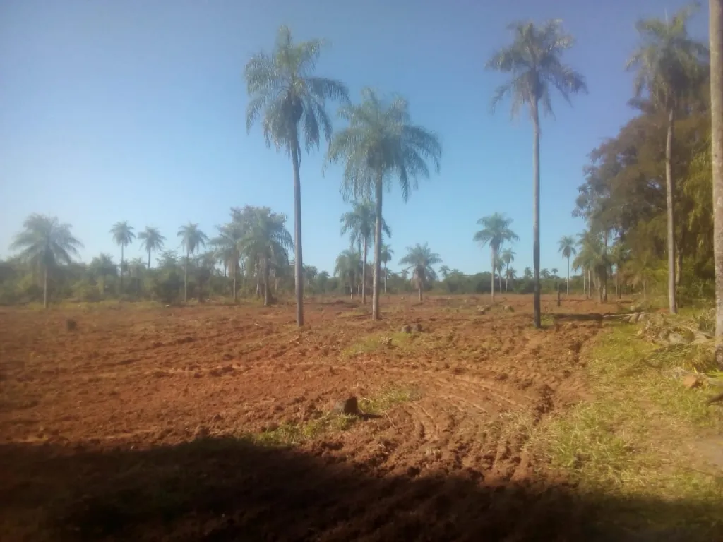 VENDO TERRENO DE 3,9 HECTÁREAS EN ACAHAY (Precio Negociable) — foto 3