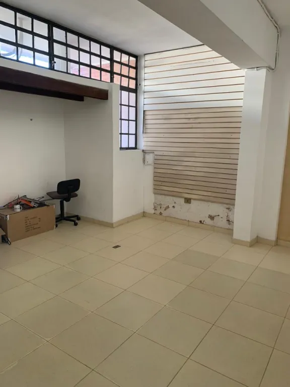 VENDO TINGLADO CON OFICINAS. CENTRO — foto 3