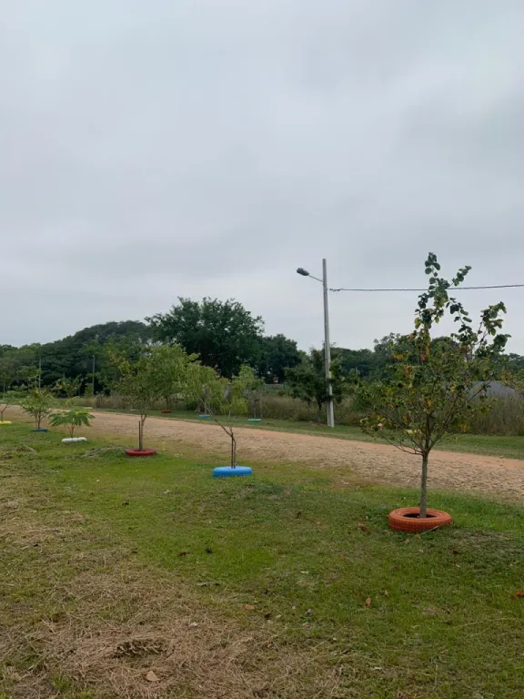 Hermoso terreno en San Bernardino — foto 3