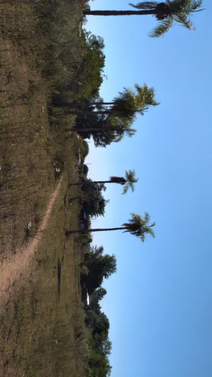 VENTA DE TERRENO LUQUE - ITAPUAMI — foto 2