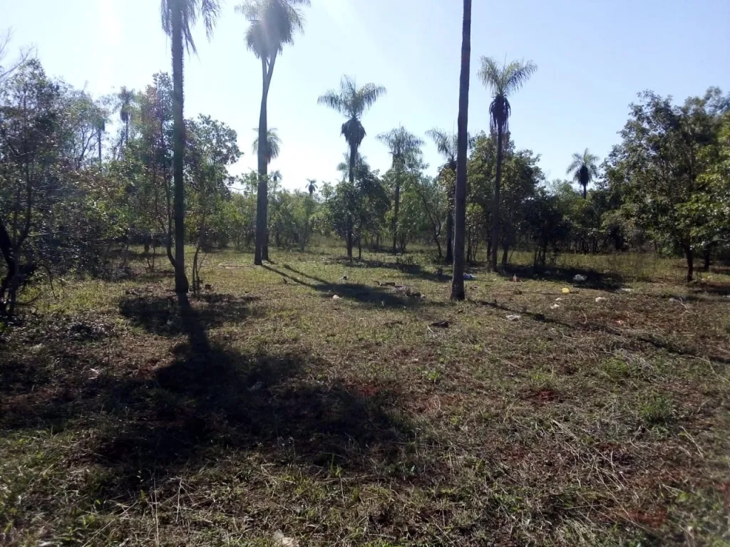 OFERTA DE 19 LOTES EN LUQUE — foto 2