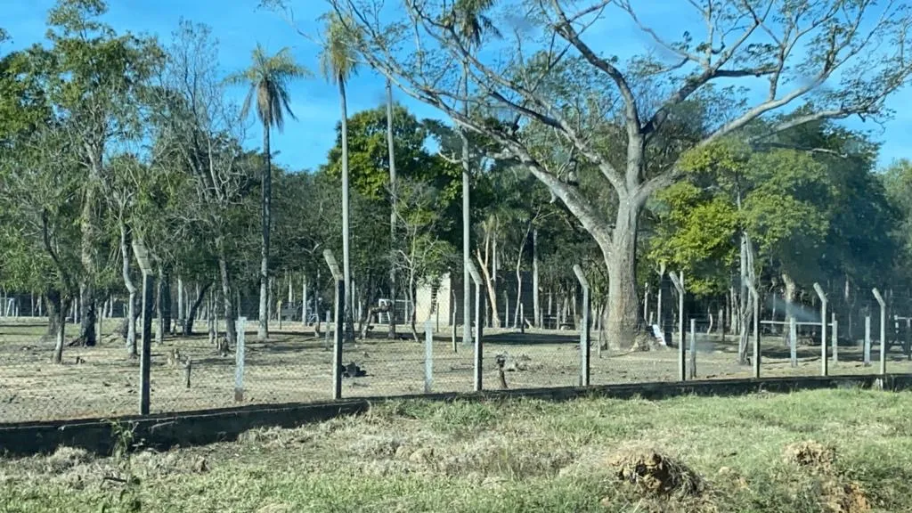 En venta 5,7 hectáreas en San Bernardino — foto 2