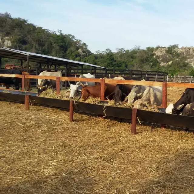 VENDO MAGNIFICA PROPIEDAD RURAL!! DE 16 HAS EN PIRIBEBUY--PARAGUARI!! — foto 3