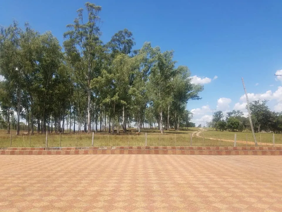 VENDO ESTANCIA CON IMPRESIONANTE MANSIÓN — foto 3