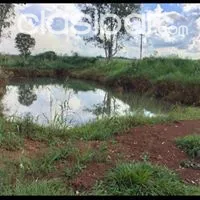 Vendo 30 hectáreas en Colonia Yguazu — foto 2