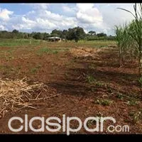 Vendo 30 hectáreas en Colonia Yguazu — foto 3