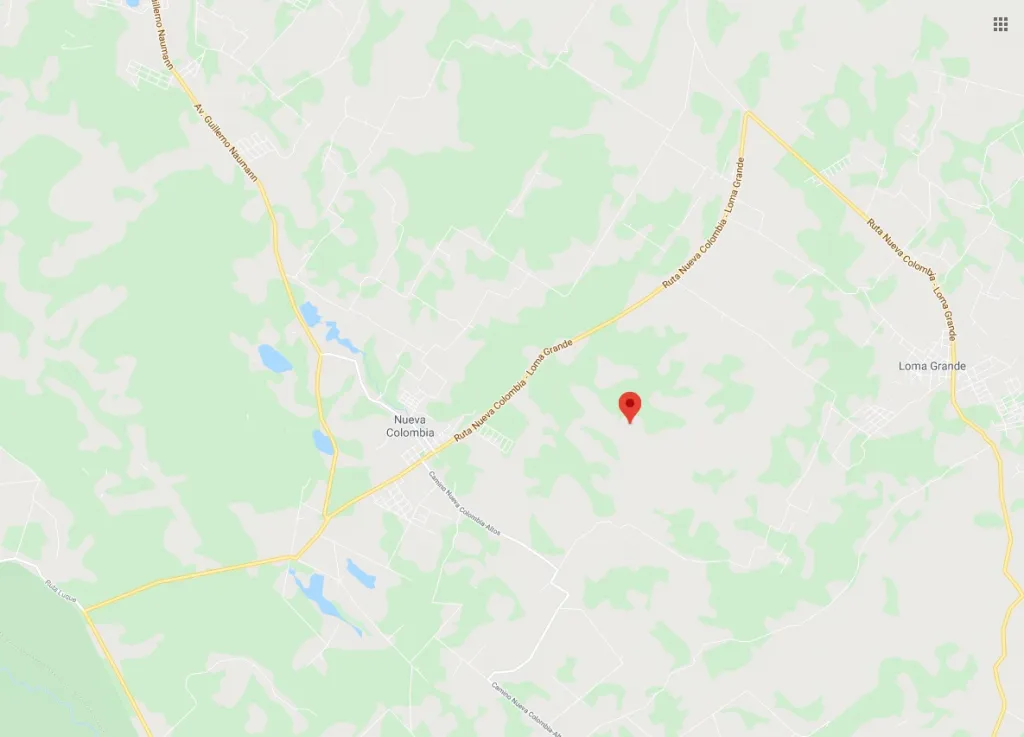 NUEVA COLOMBIA – CORDILLERA: 102 HAS DE CAMPO, A 37 KM DE ASUNCIÓN, 65.000.000 GS HA — foto 2