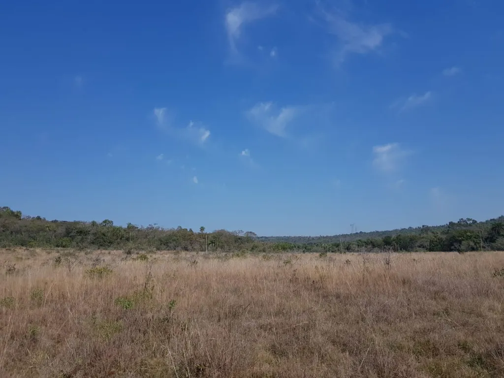 NUEVA COLOMBIA – CORDILLERA: 102 HAS DE CAMPO, A 37 KM DE ASUNCIÓN, 65.000.000 GS HA — foto 3
