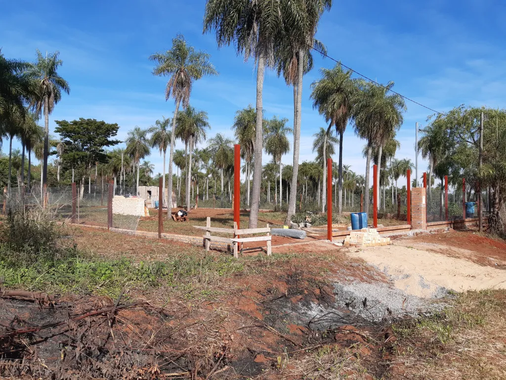 Vendo Terreno ideal p una Granjita — foto 3