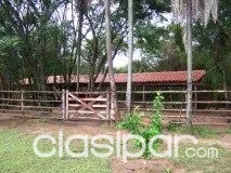 VENDO HERMOSA PROPIEDAD DE 53 H. CON TODAS LAS COMODIDADES EN ARROYOS Y ESTEROS, ZONA ALTA — foto 3