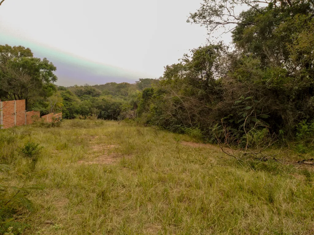 2.500m2 EN LAS ALTURAS DE SANBER EN ALTURA — foto 2