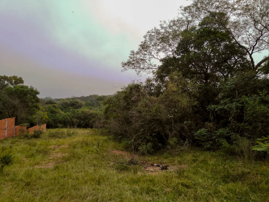 2.500m2 EN LAS ALTURAS DE SANBER EN ALTURA — foto 3