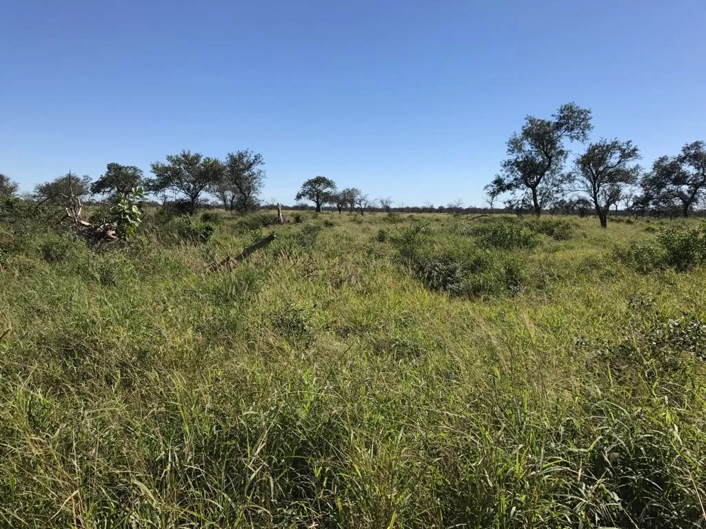 ZONA LA PATRIA- 5.000 HA — foto 3