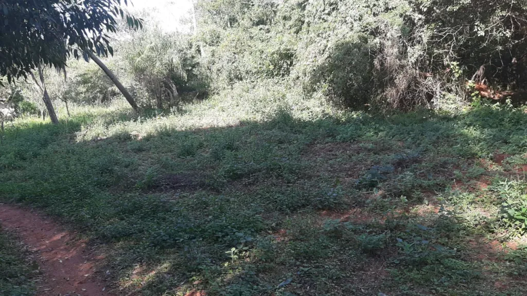 Vendo Propiedad en Ypane OFERTA 4 Ha. zona Rosado Guazu haga una buena inversión!!. — foto 2