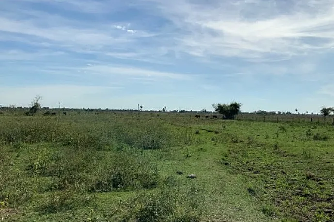 Campo en Falcón, Paraguay — foto 2