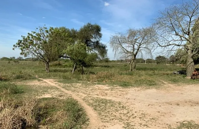 Campo en Falcón, Paraguay — foto 3