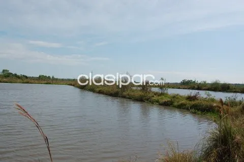 Terreno sobre Ruta asfaltada (Ruta 11) - (49 has) — foto 3