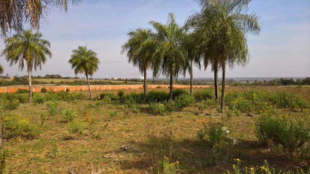 VENDO TERRENO EN VILLETA — foto 2