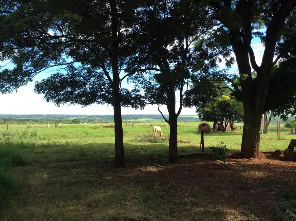 Vendo Estancia En San Pedro 1426 Has ( Yataity Del Norte ) — foto 3